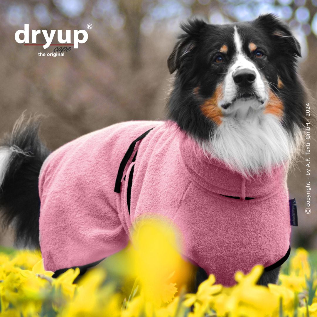Dryup cape - Rosé